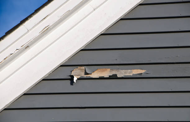 How To Choose The Right Materials for Your Siding Installation in 'Newcastle, WY